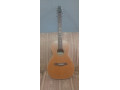seagull-acoustic-steel-string-guitar-small-0