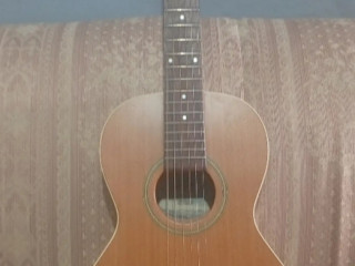 seagull-acoustic-steel-string-guitar