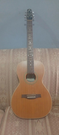 seagull-acoustic-steel-string-guitar-big-0